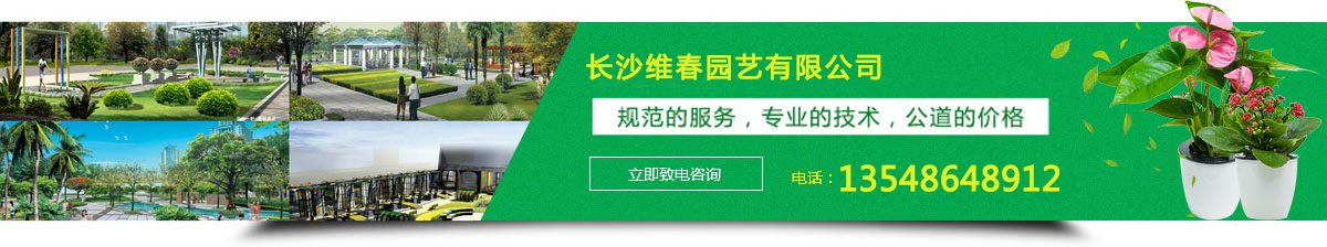 �Gֲ���⡢�������U�������@�־G���޼����@�־G��ʩ��