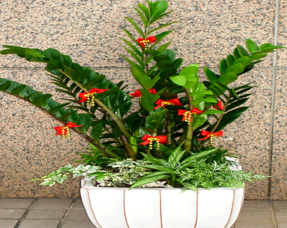 �M�Ͻ��X(qi��n)��(sh��)